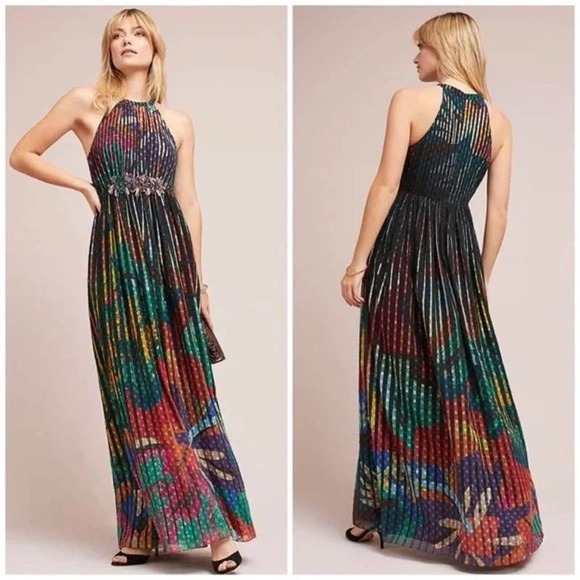 Geisha Designs Dresses & Skirts - Anthropologie Geisha Designs Kalinka Pleated Floral Stripe Maxi Dress Size S/4